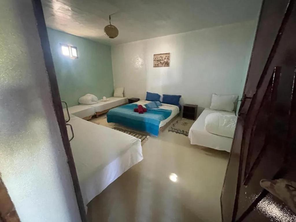 Les Jardins D Amizmiz 6 Piscines Bed & Breakfast Wawizelte Екстериор снимка